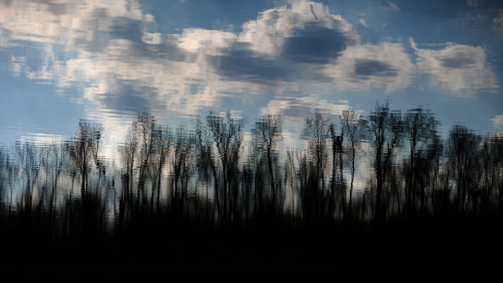 a picture of trees and clouds in the sky