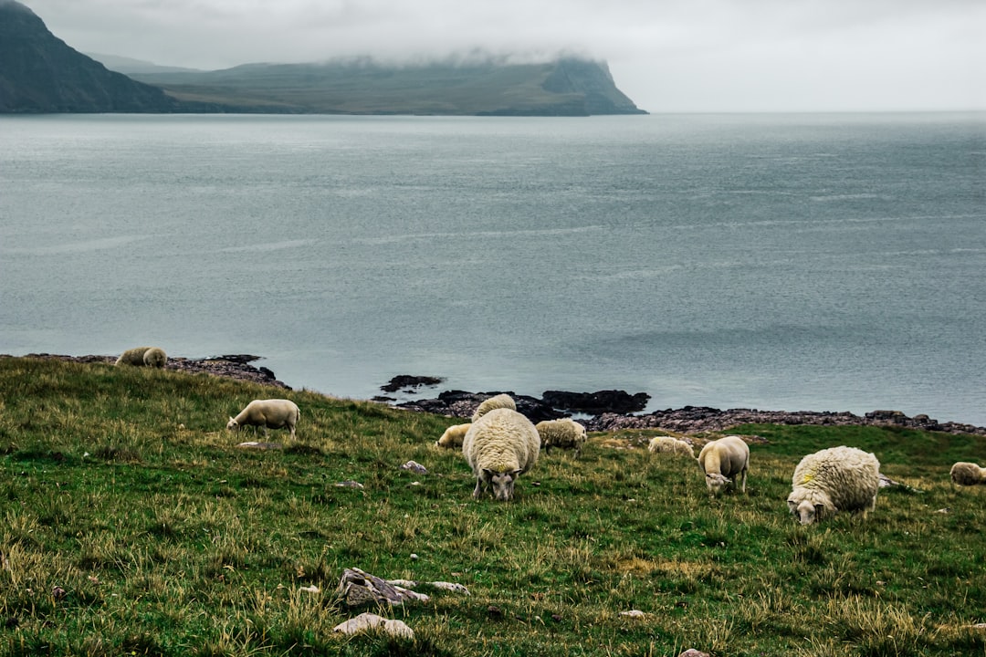 Highland photo spot Isle of Skye Duirinish