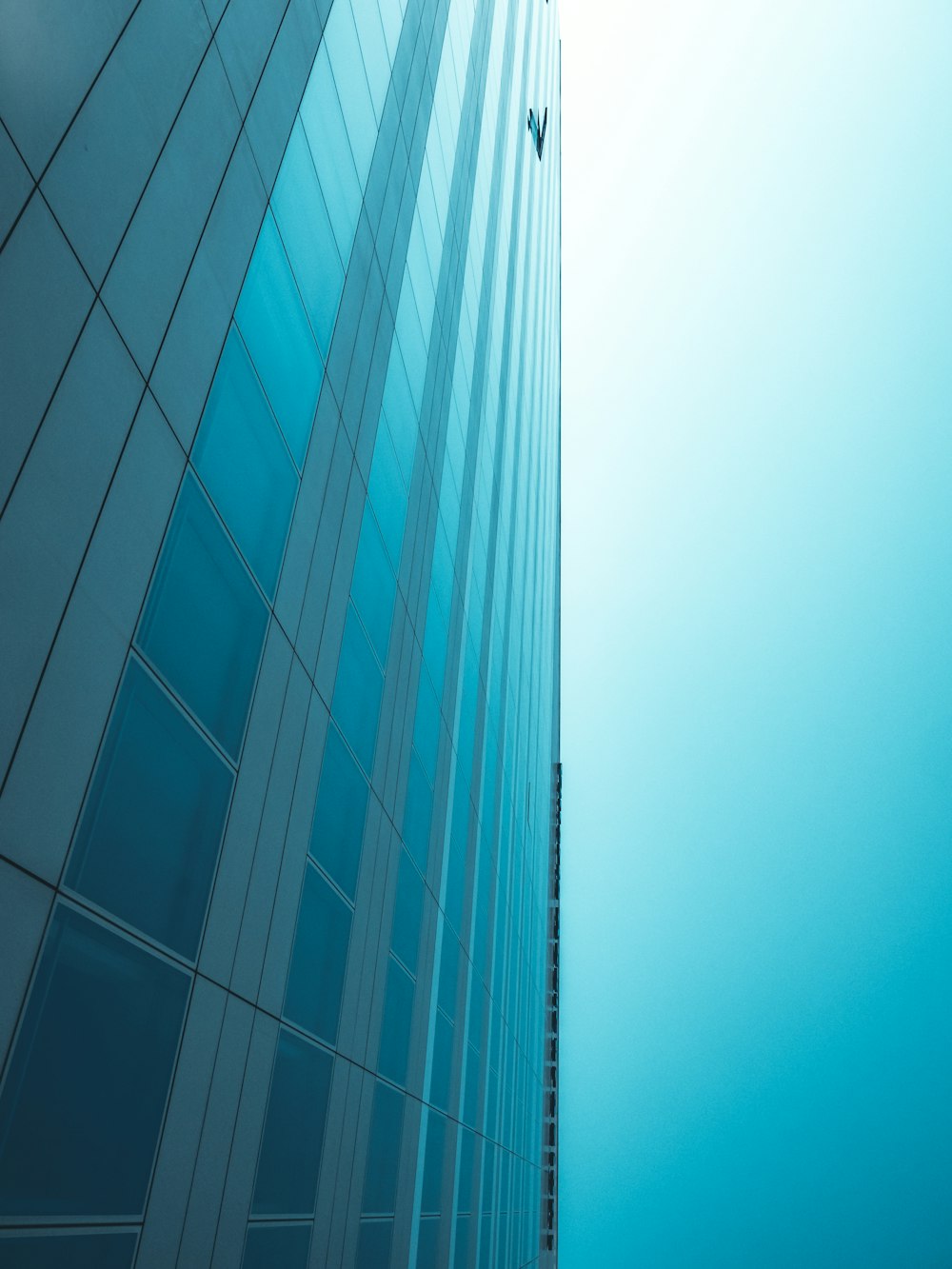 blue glass walled high rise building