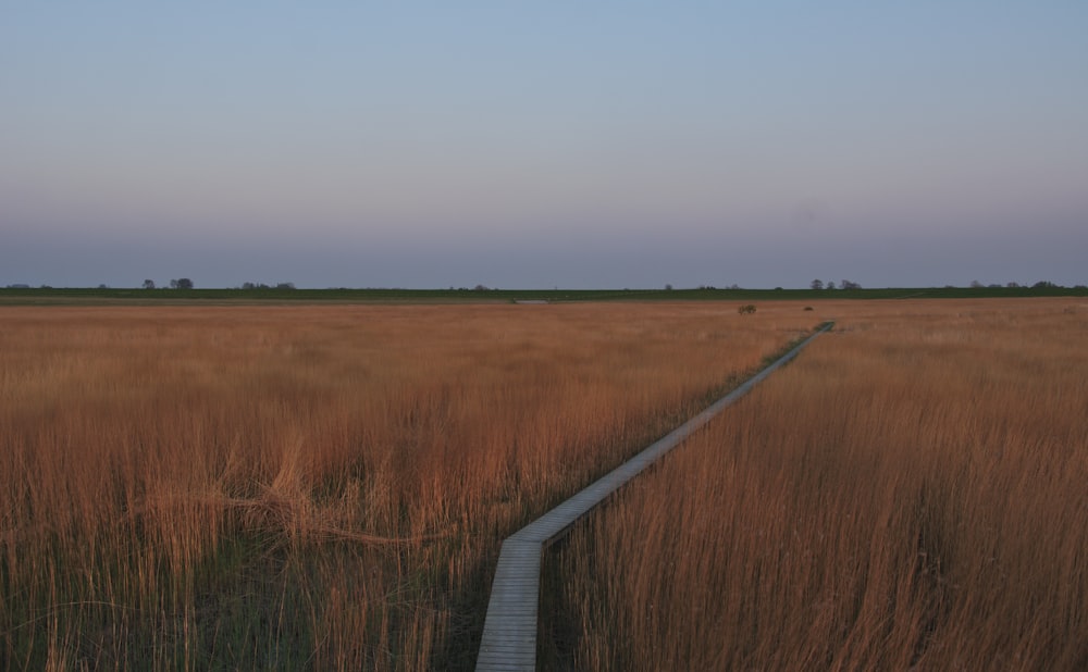 white wooden bridge on brown grass field during daytime