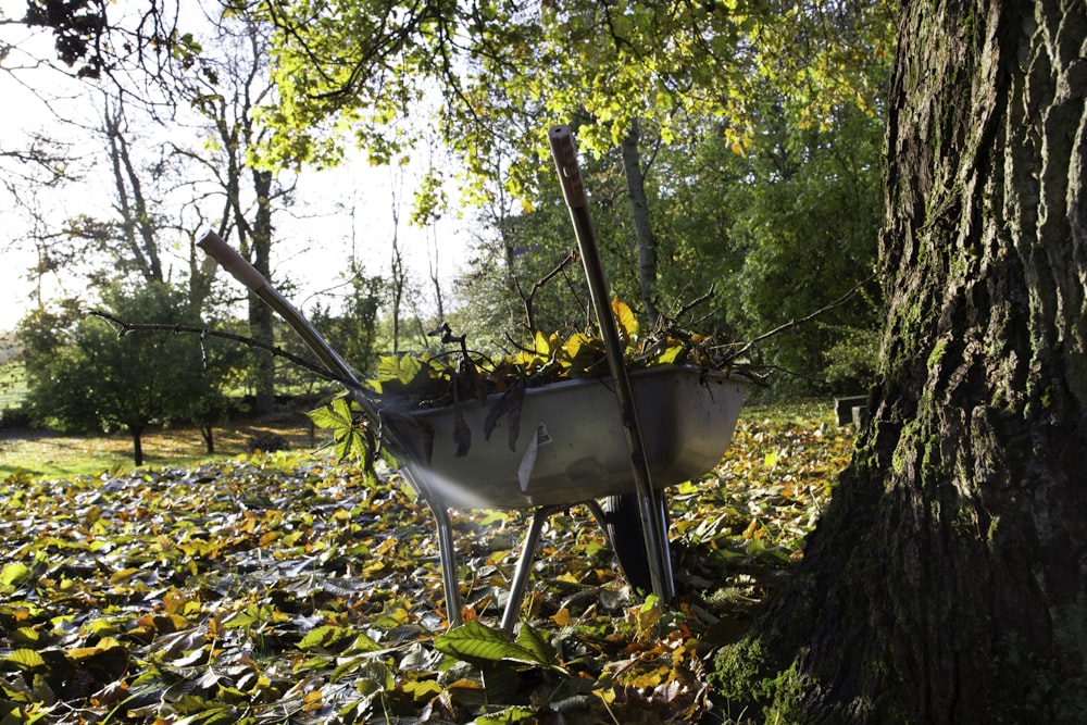 gray and yellow wheelbarrow on green grass during daytime