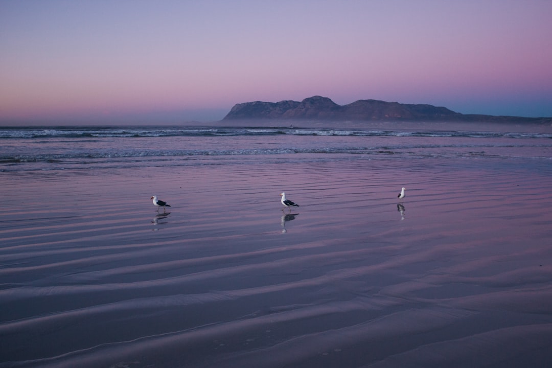 Beach photo spot Muizenberg Kleinmond