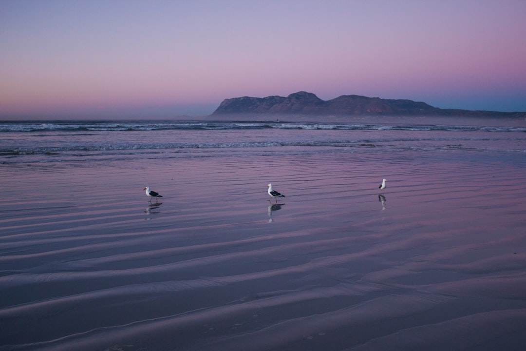Beach photo spot Muizenberg South Africa