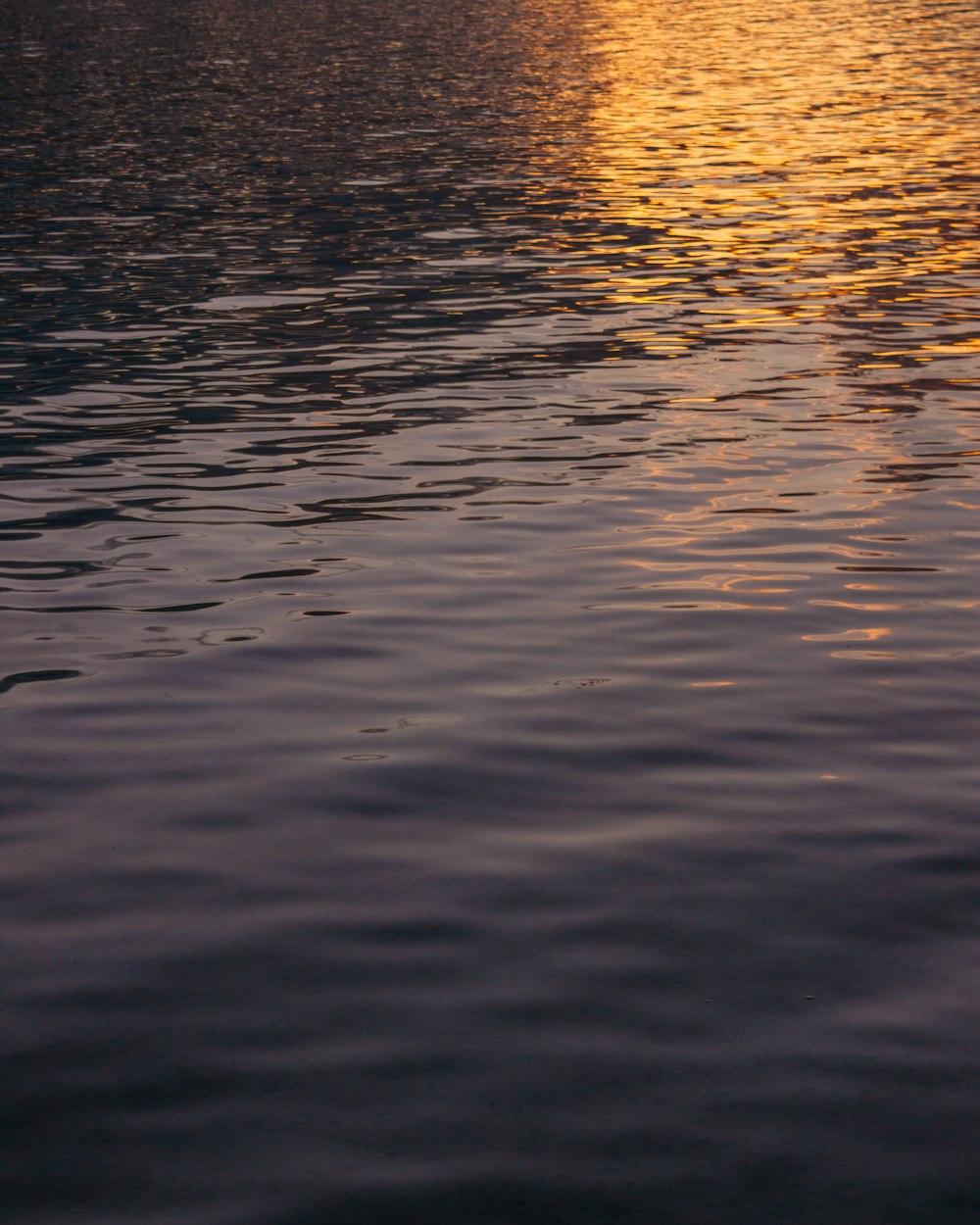 body of water during sunset