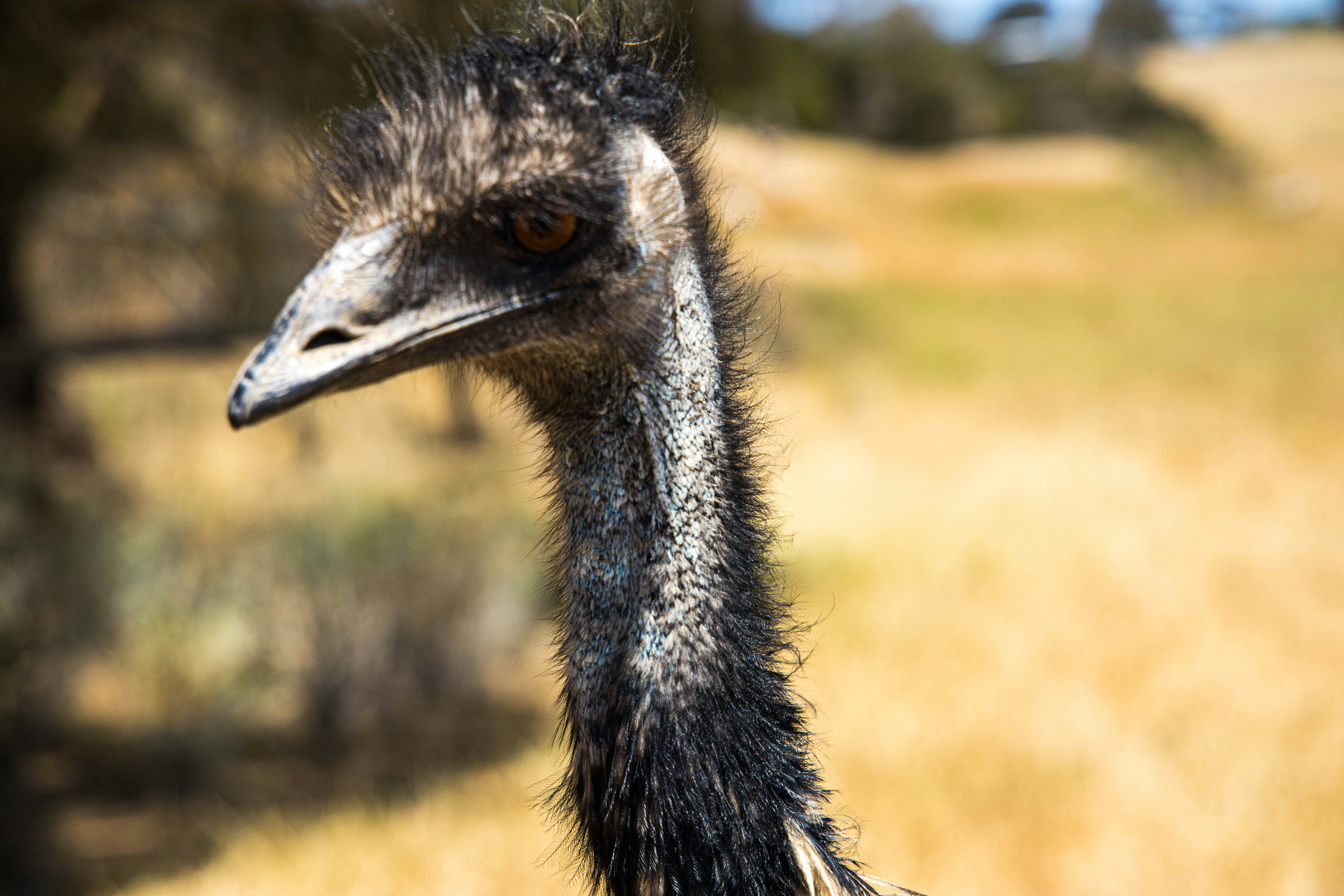 Photo by adrian_dutch