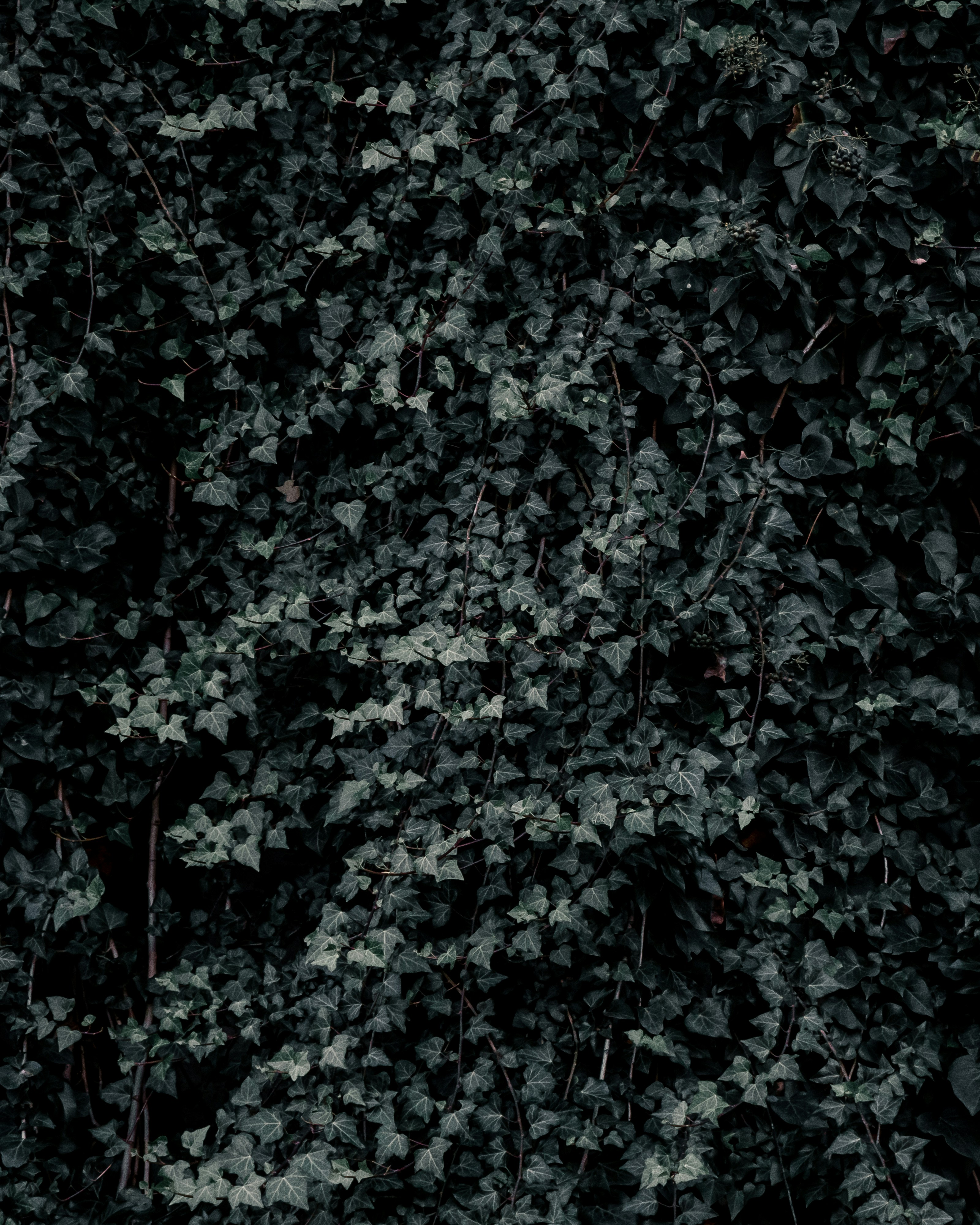 Photo by joseph_recca