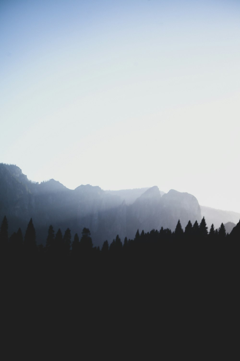 silhouette of trees on mountain during daytime