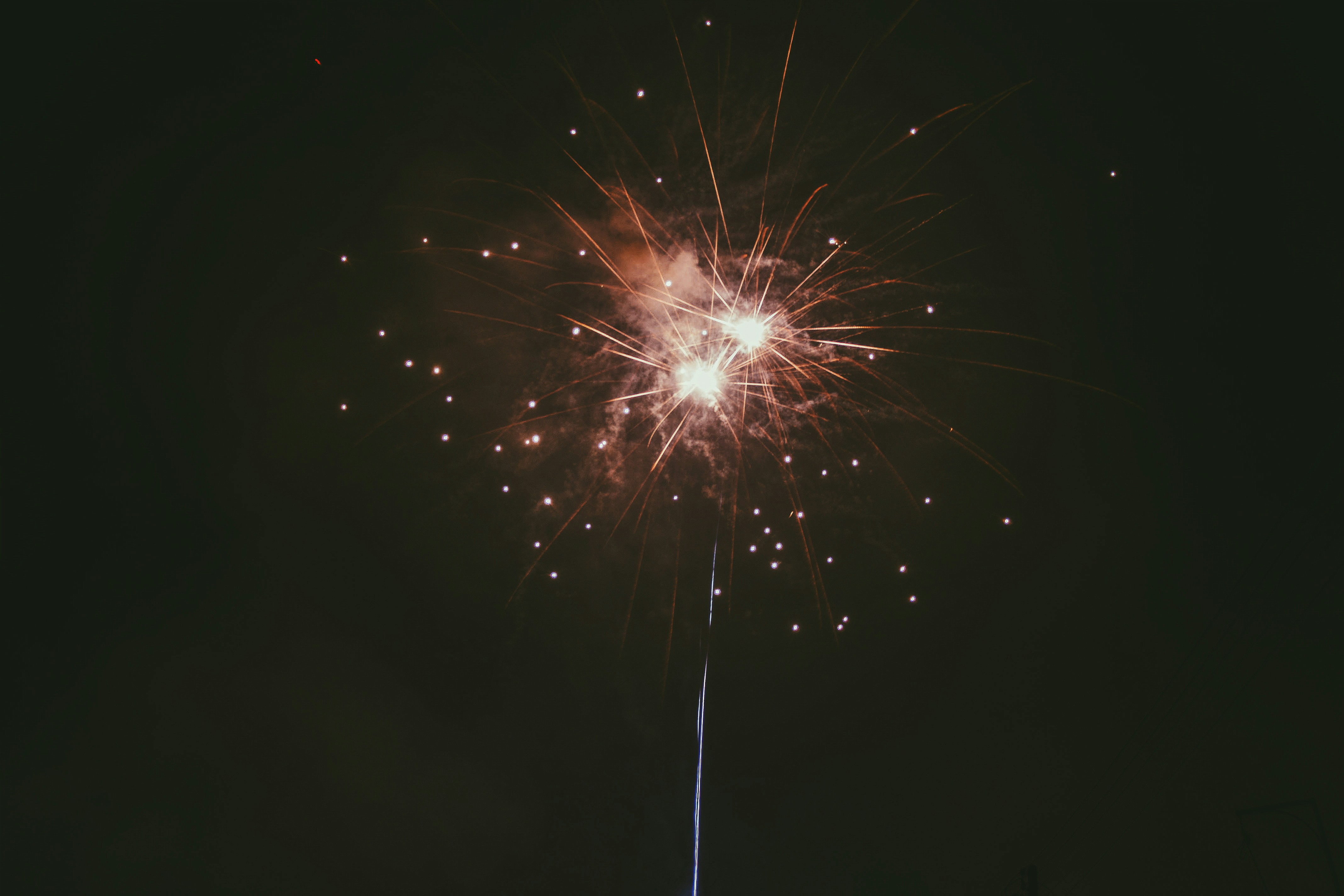 Photo by jackthepotato