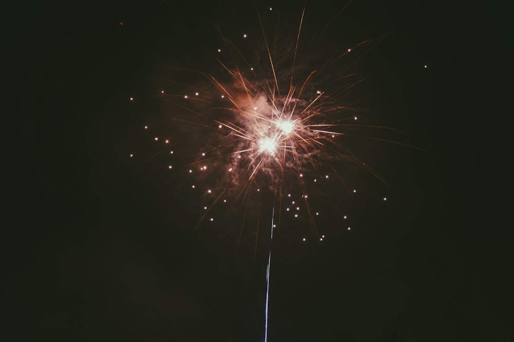 white and brown fireworks during nighttime