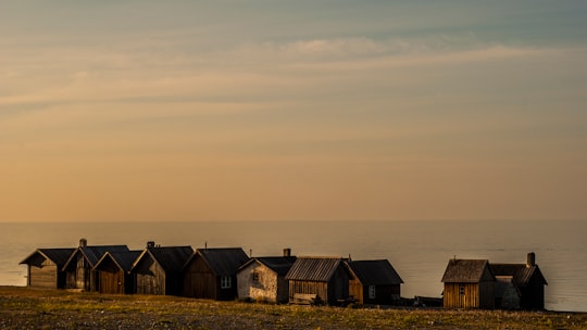 brown wooden house near body of water during daytime in Fårö Sweden