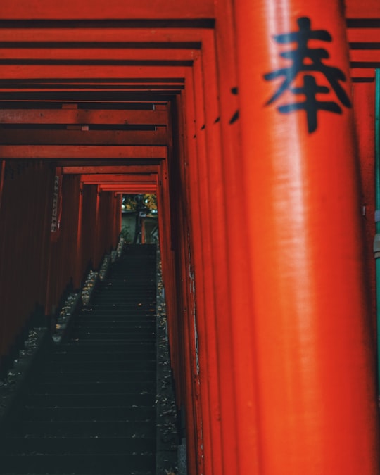 red and black tunnel during daytime in Hie Shrine Japan