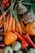 A colorful assortment of fresh vegetables and fruit, including carrots with green tops, root vegetables, an orange and red pepper, apples, onions, strawberries, and leafy greens.