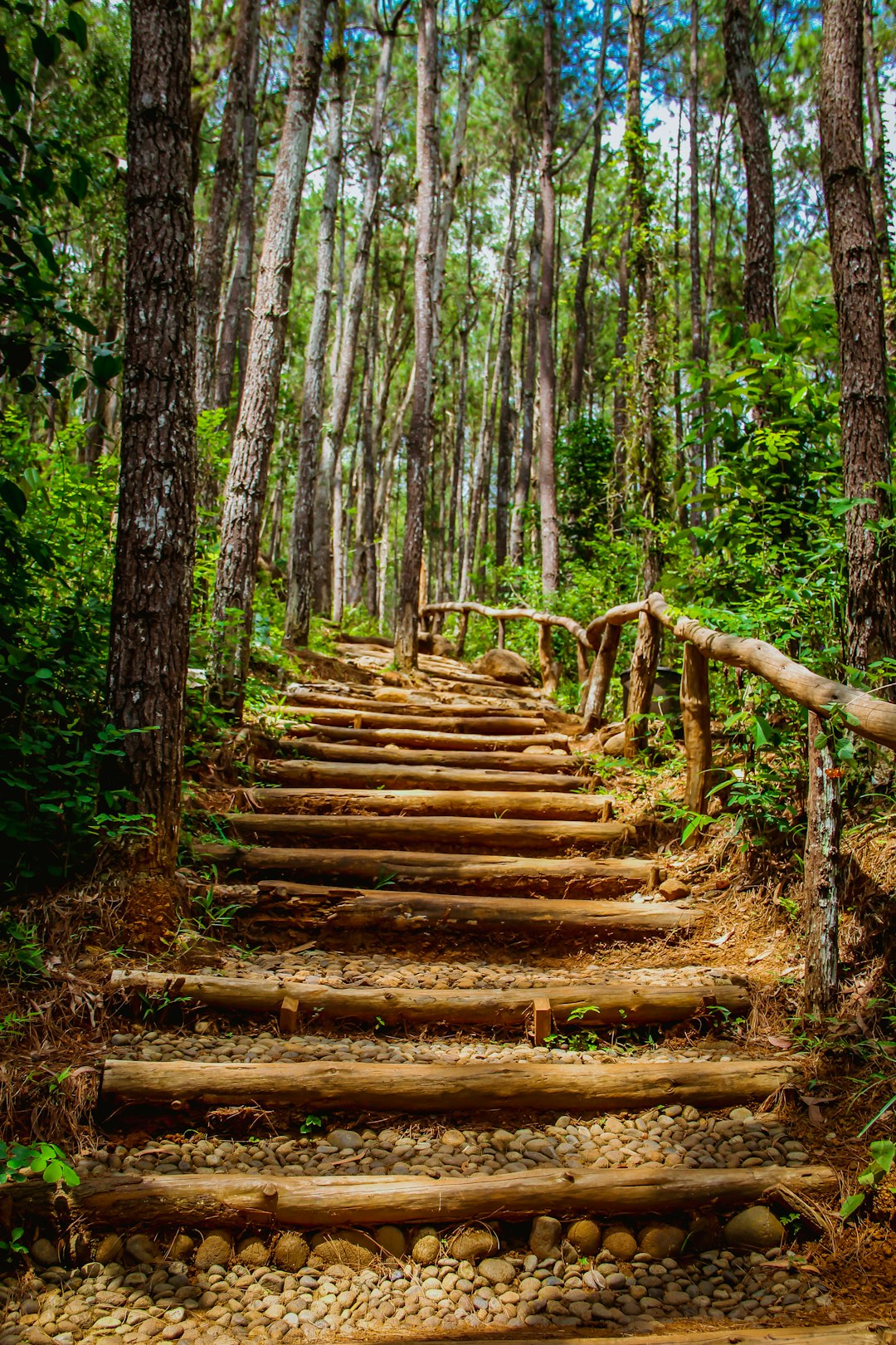 Forest photo spot Yogyakarta Yogyakarta City