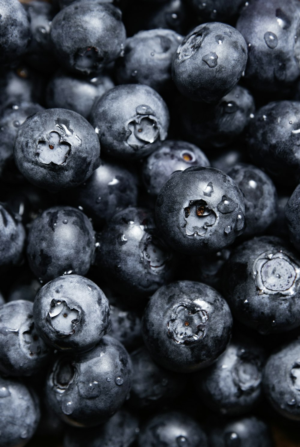 Frutas redondas negras en fotografía de primer plano