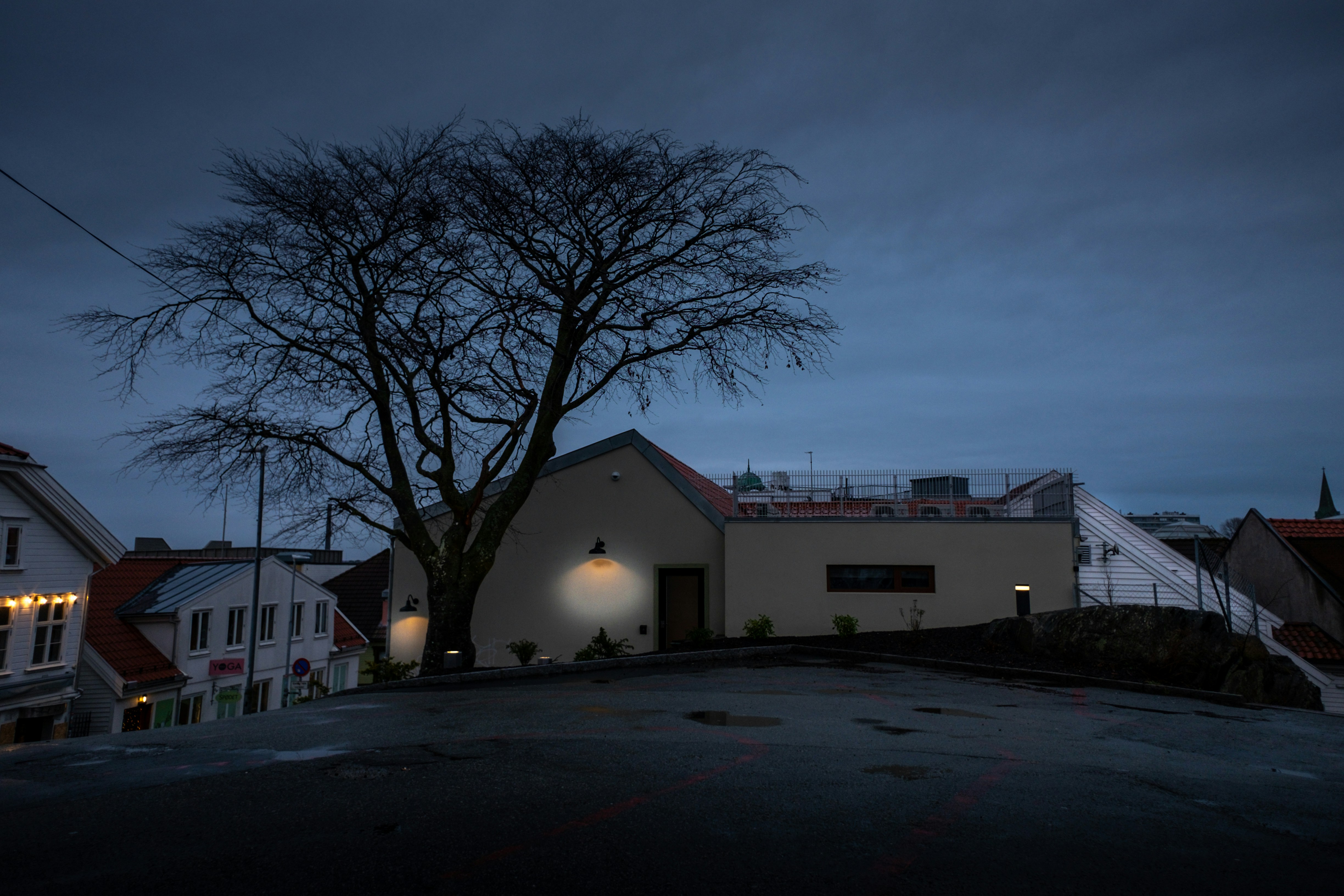 Photo by gunnarridder