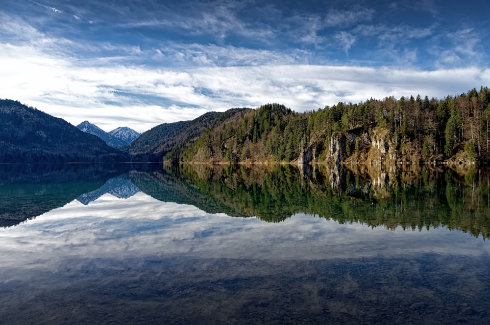 green trees beside lake under cloudy sky during daytime