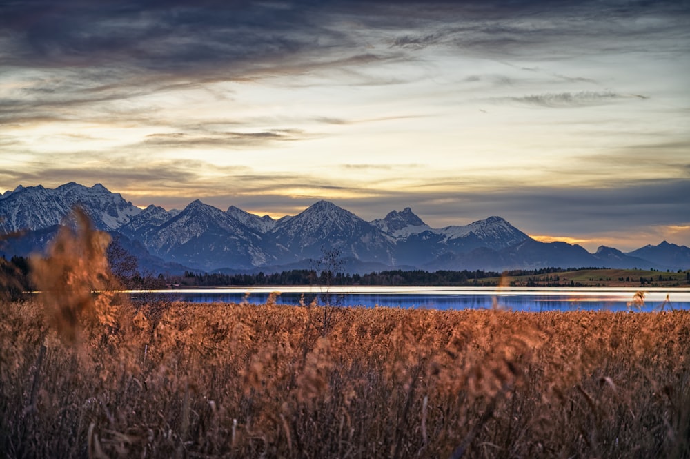 brown grass field near mountain during daytime