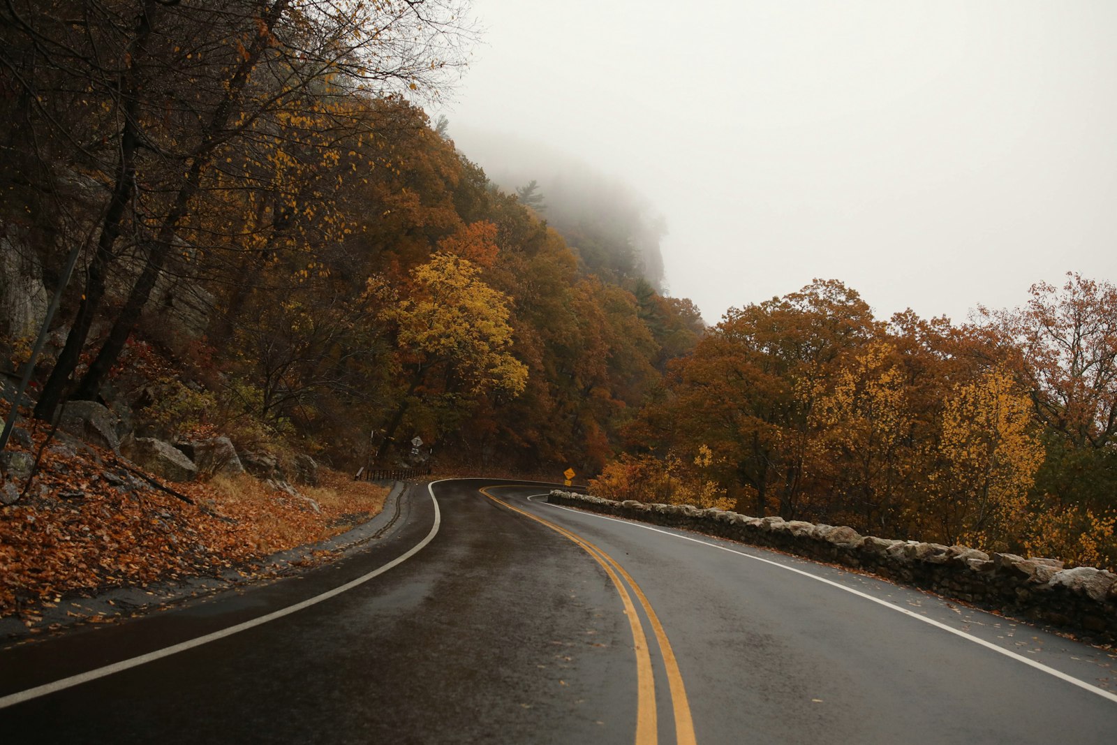 Canon EOS 5D Mark IV + Sigma 24-35mm F2 DG HSM Art sample photo. Gray concrete road between photography