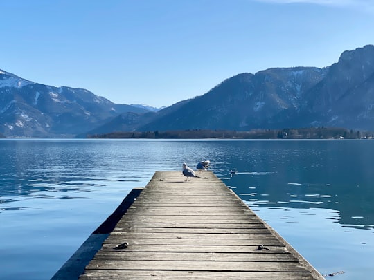 brown wooden dock on lake during daytime in Mondsee Austria