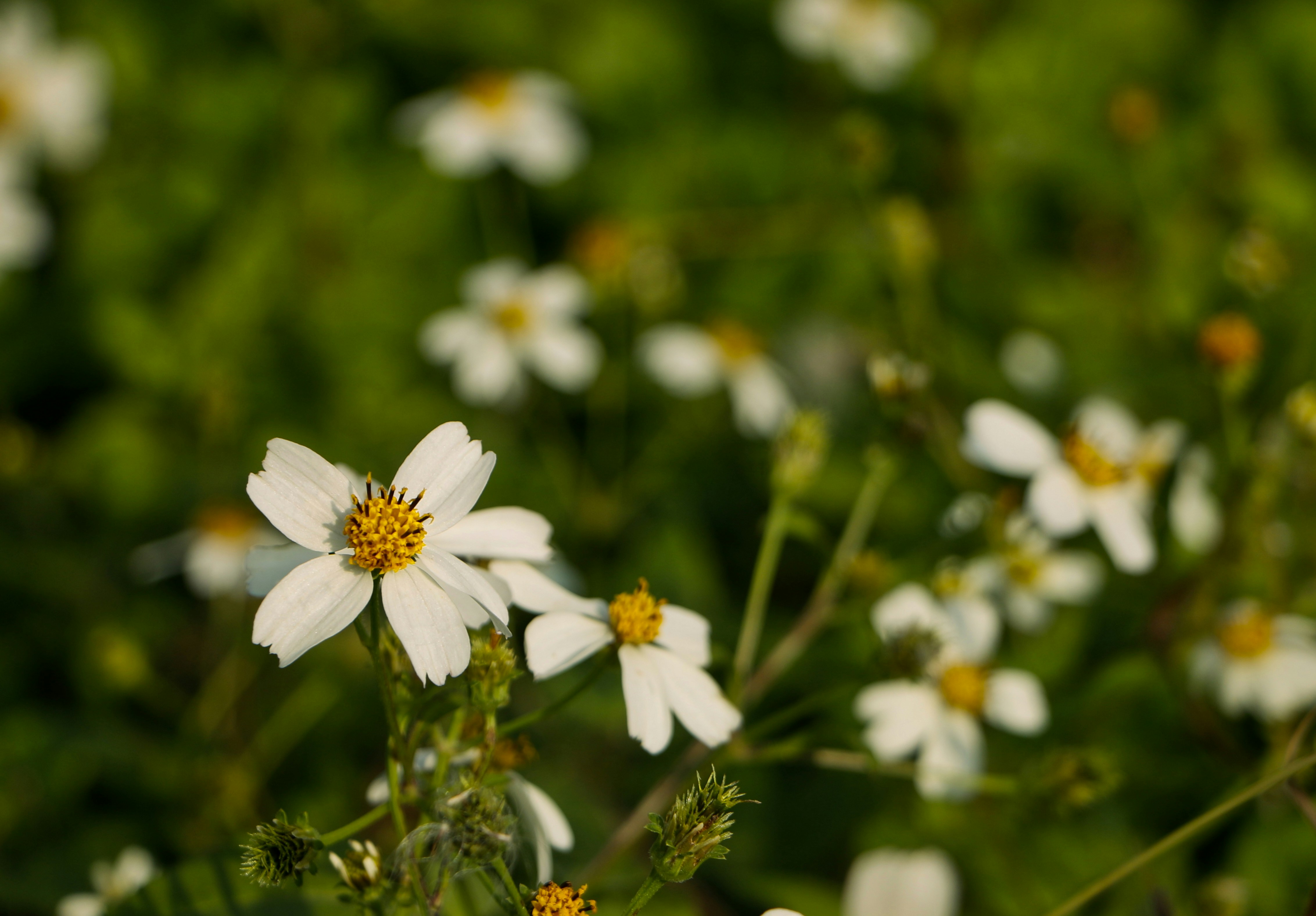 Photo by benjamin_1017