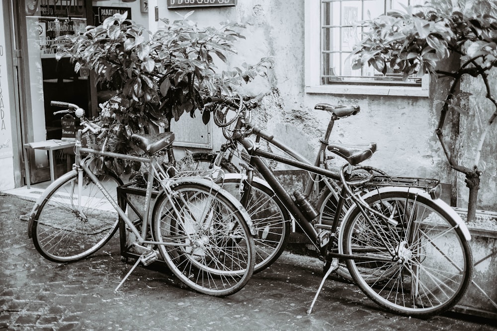 black commuter bike parked beside white wall