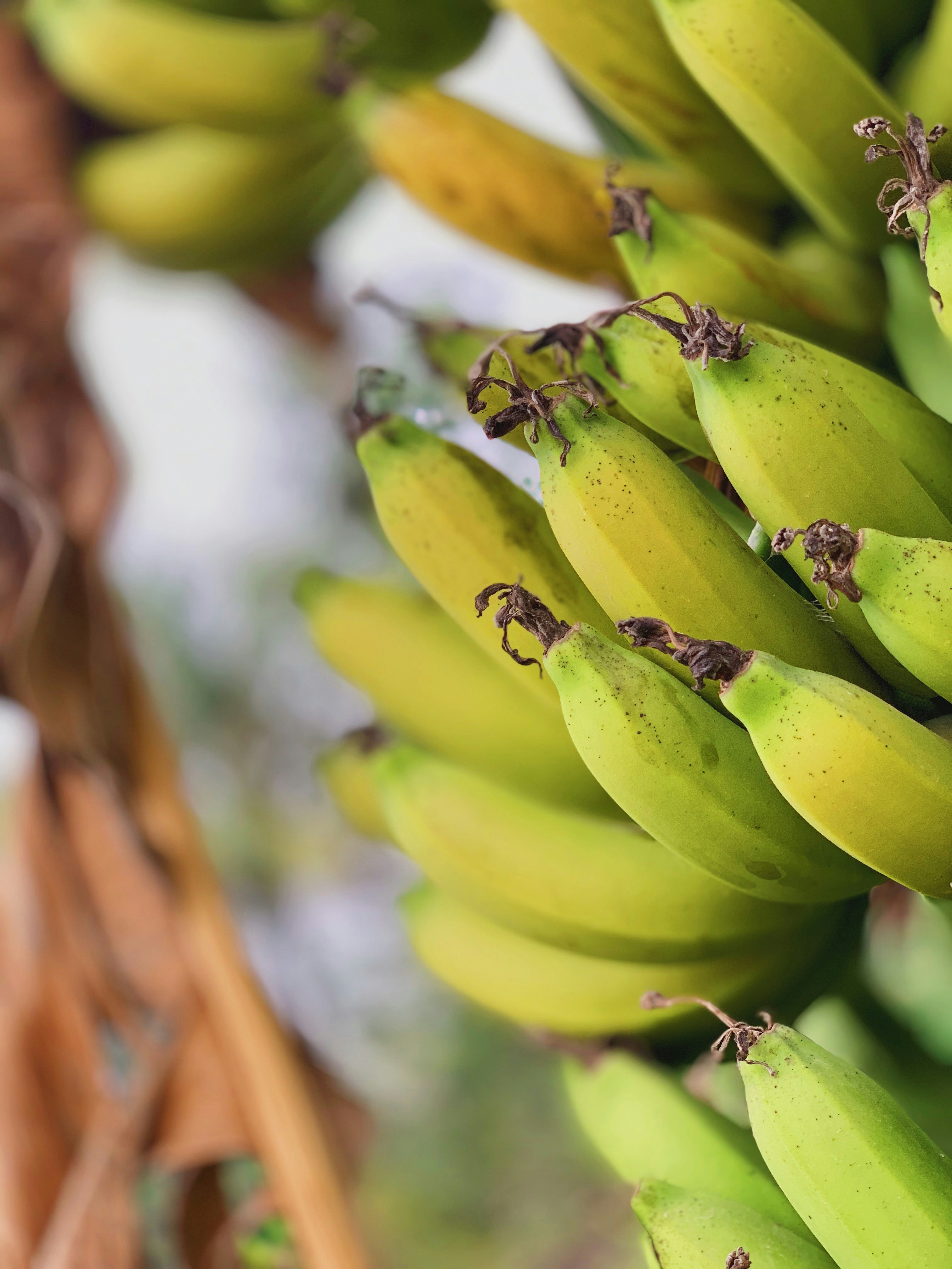 Photo by leconanlinh