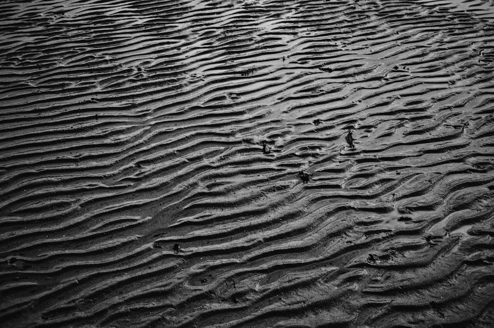 brown sand with water during daytime