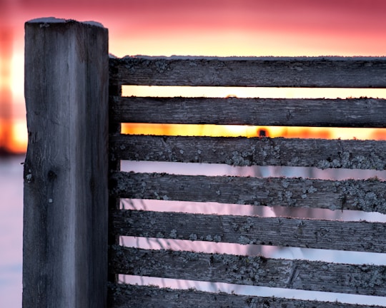 A before-and-after shot showing a worn-out fence transformed into a sturdy new one.