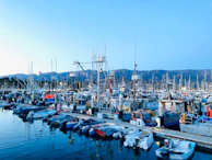 Colorful boats lined up at a bustling marina with mountains in the distance.