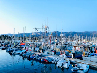 Colorful boats lined up at a bustling marina with mountains in the distance.