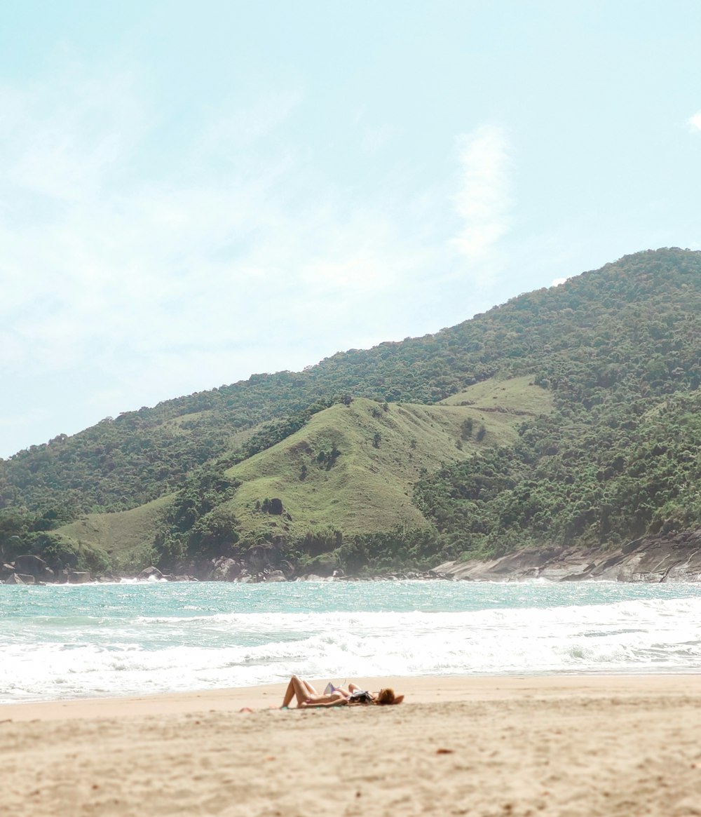 brown horse on seashore during daytime