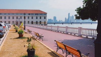 brown wooden bench near body of water during daytime