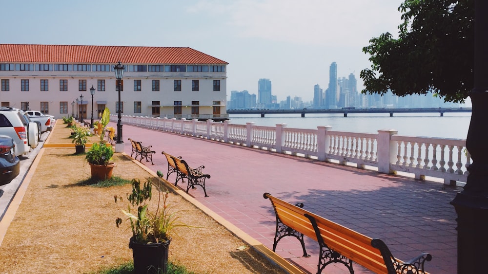 brown wooden bench near body of water during daytime