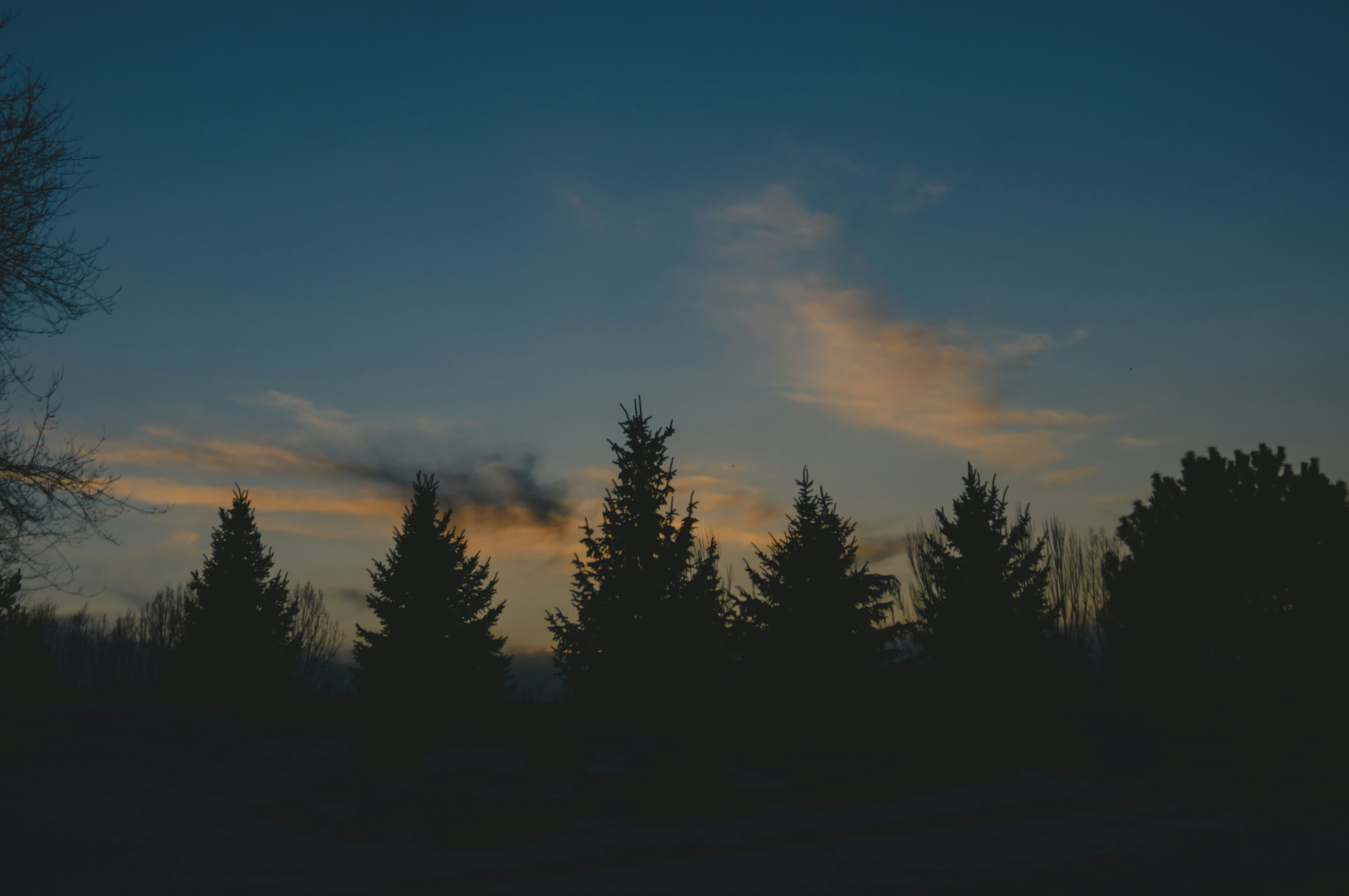 Alberta Separation Meets Its Treaty Reckoning