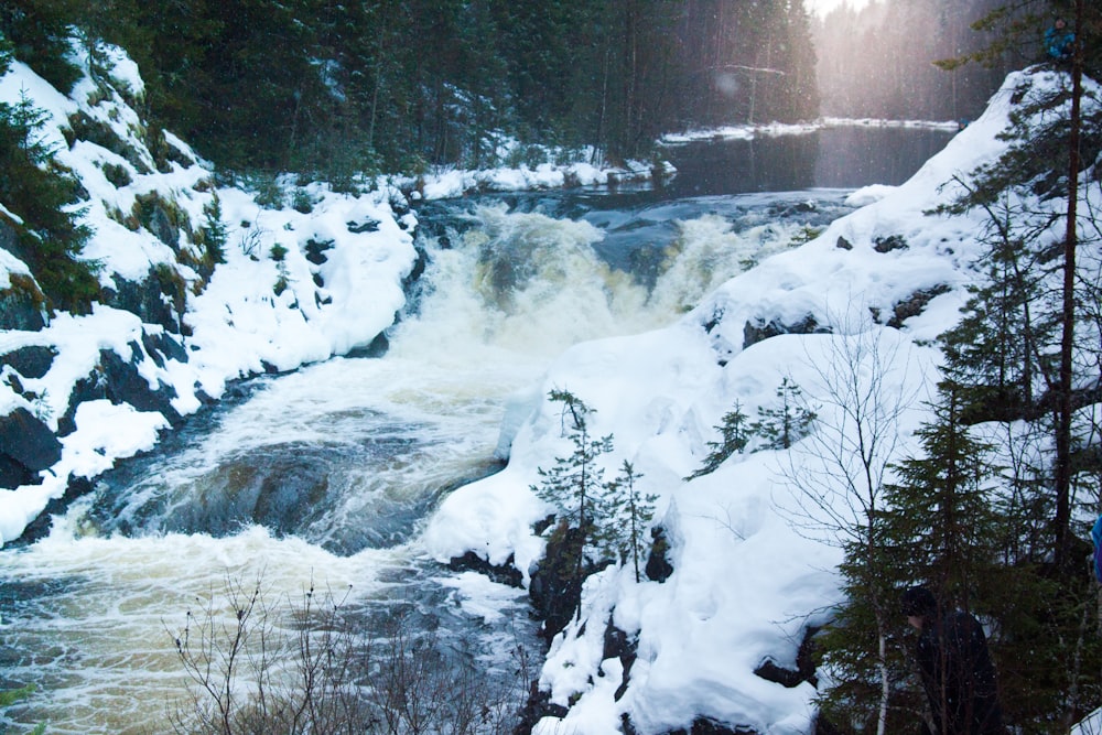 snow covered trees near river during daytime