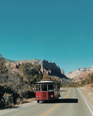 red and black bus on road during daytime