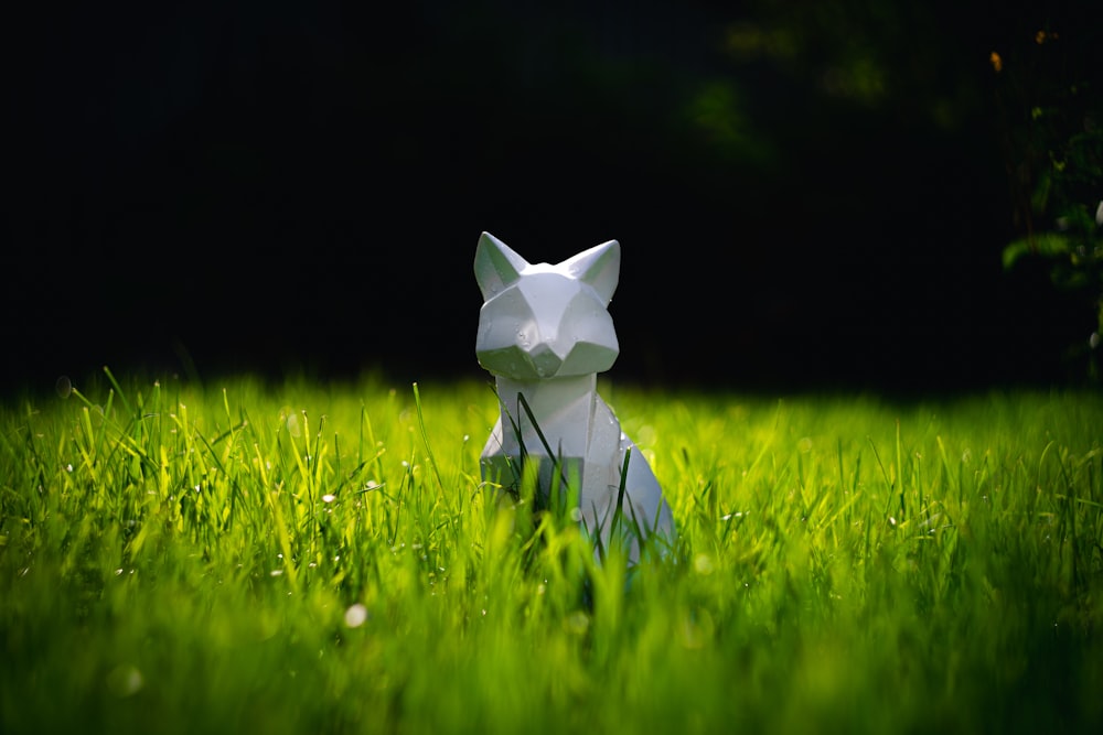 estatueta branca do gato no campo verde da grama
