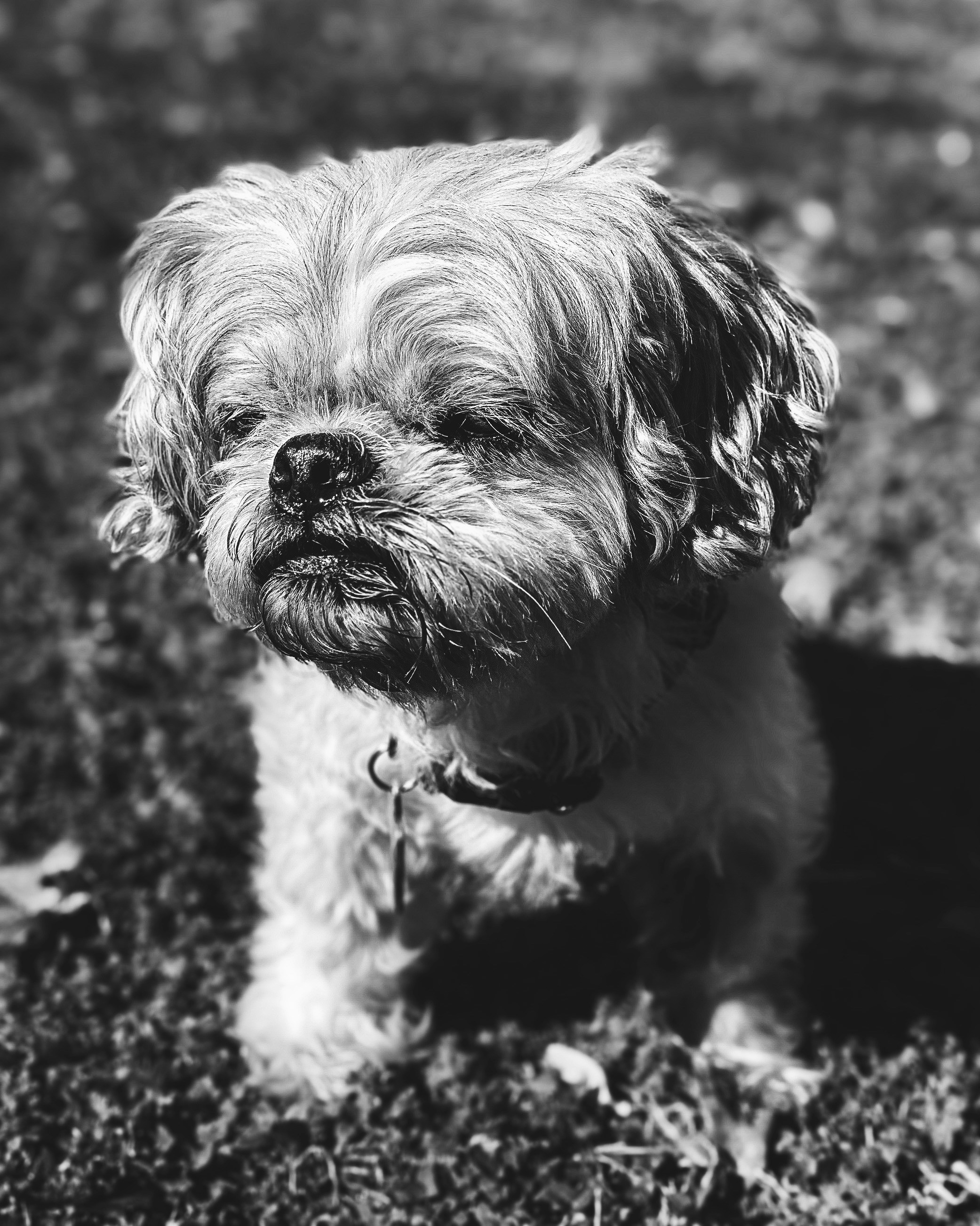 Photo by joshbduncan