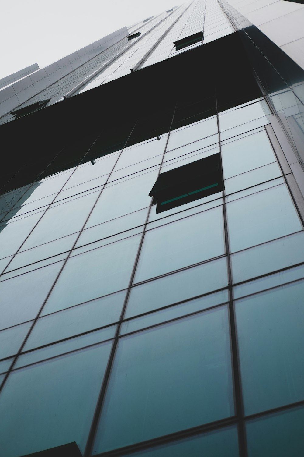 black and white glass walled building