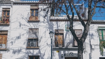 A charming facade of a traditional building with small balconies adorned with potted plants and shutters partially drawn. The building is painted white and features wooden doors and windows. Shadows of bare tree branches are cast onto the building's surface, creating an intricate pattern. A streetlamp and a sign for 'Bar Horno de Paquito' add to the quaint atmosphere.