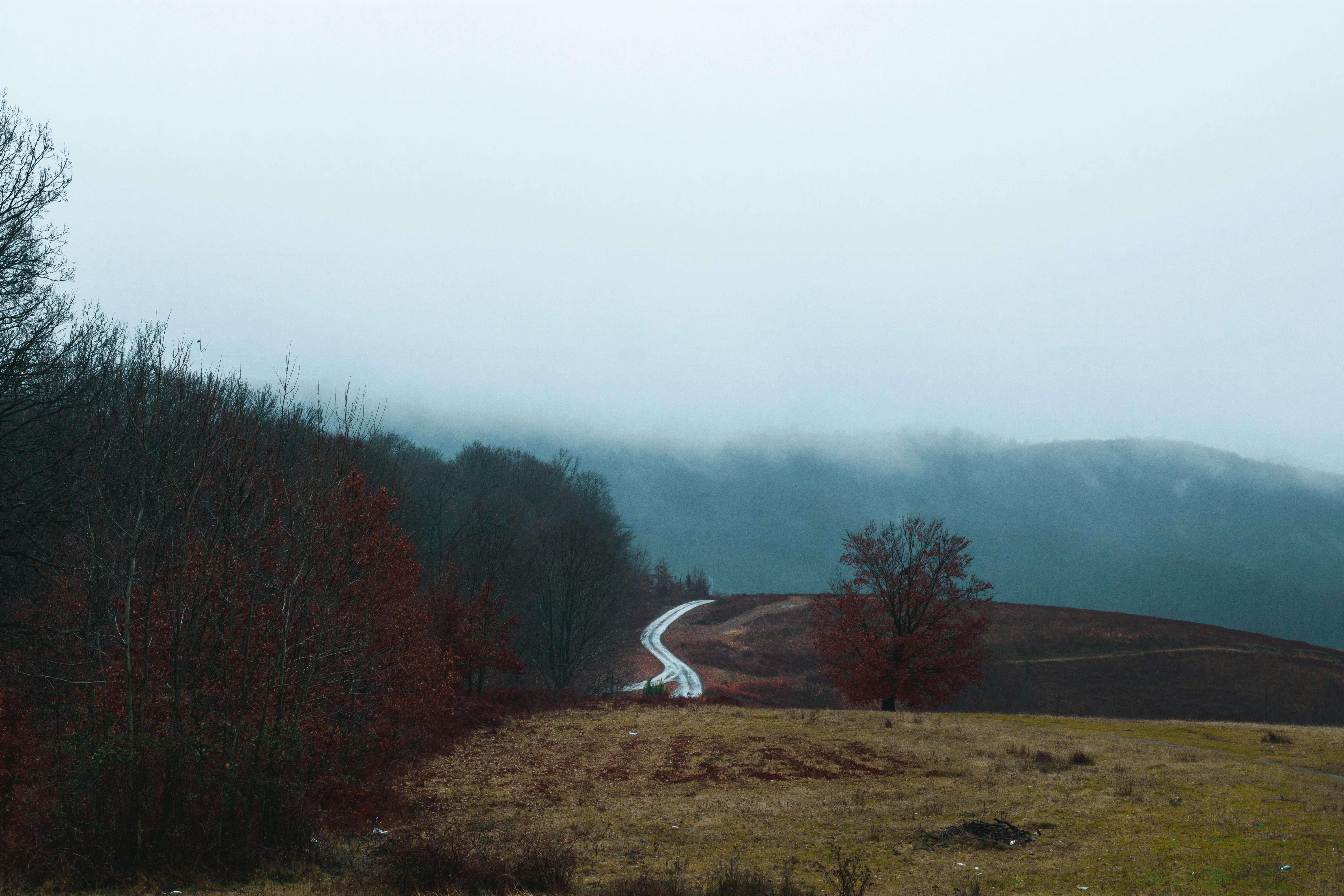 Photo by isacciobota