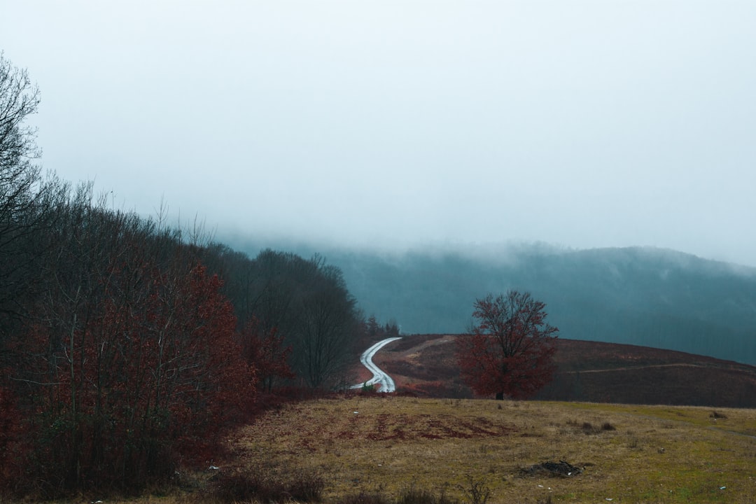 Hill station photo spot Alba Iulia DN67C