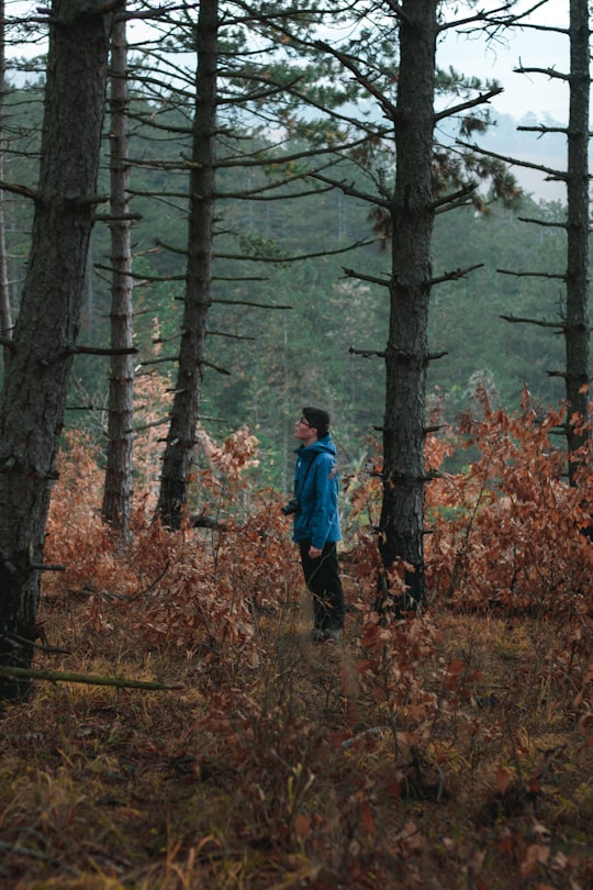man in blue jacket and black pants standing in the middle of forest during daytime in Alba Iulia Romania