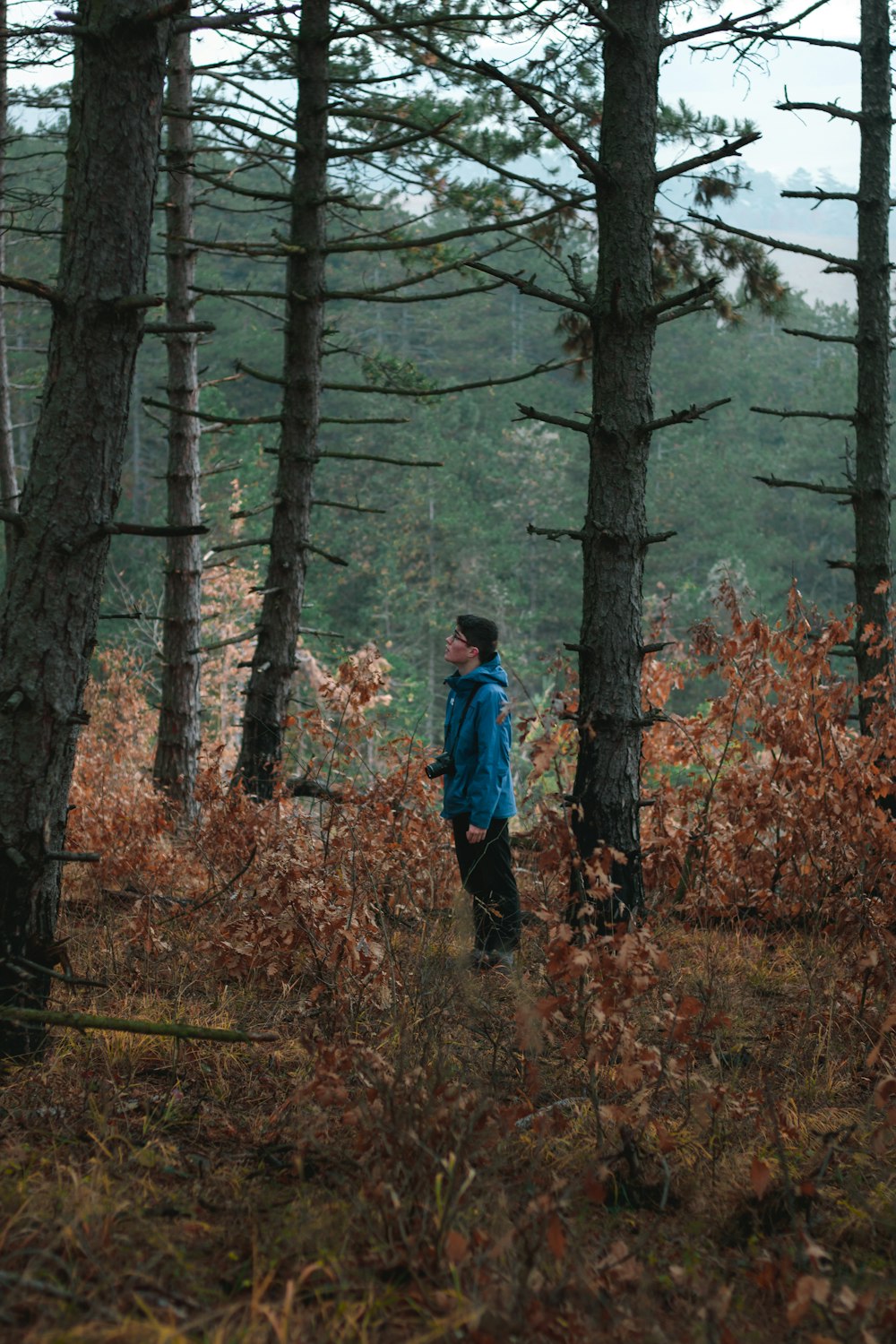 Homme en veste bleue et pantalon noir debout au milieu de la forêt pendant la journée