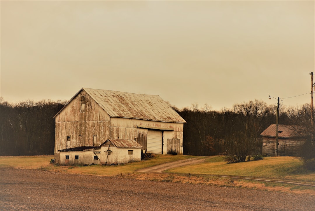 brown wooden house on brown field under white sky during daytime