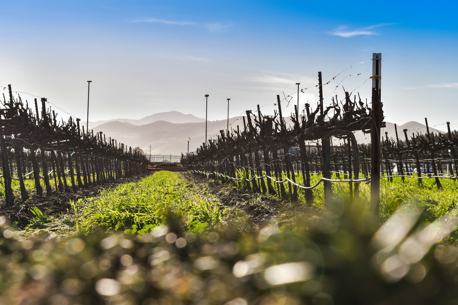black and white bed linen