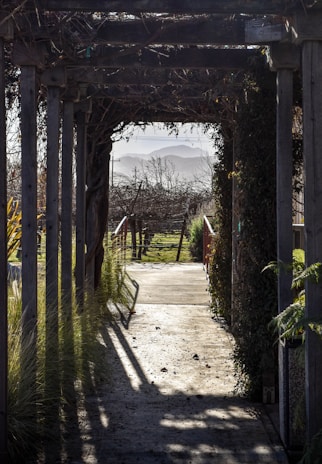 Close-up of a handcrafted wooden arbor with climbing vines, casting dappled sunlight on a garden path.