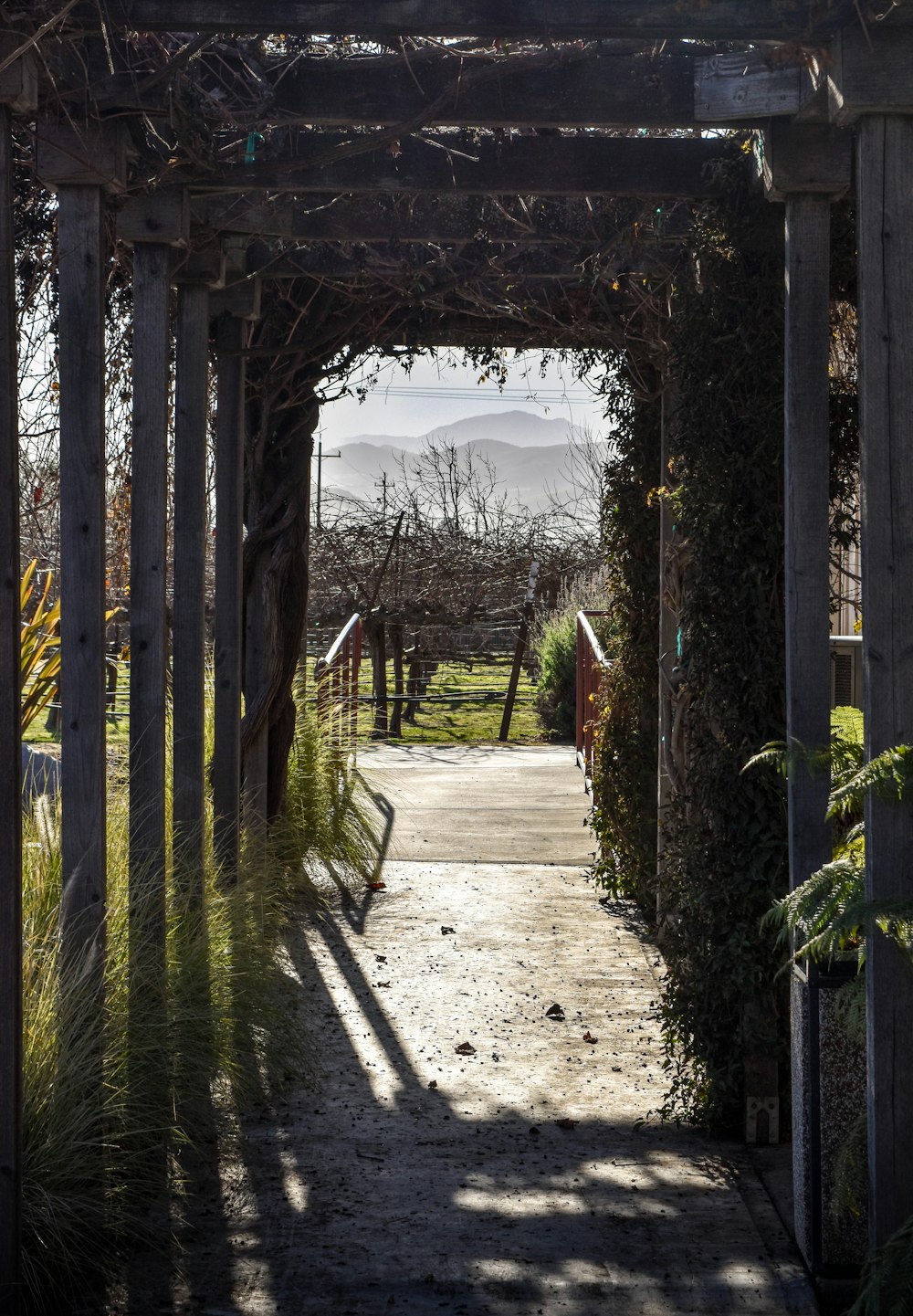 brown wooden fence on brown dirt road during daytime