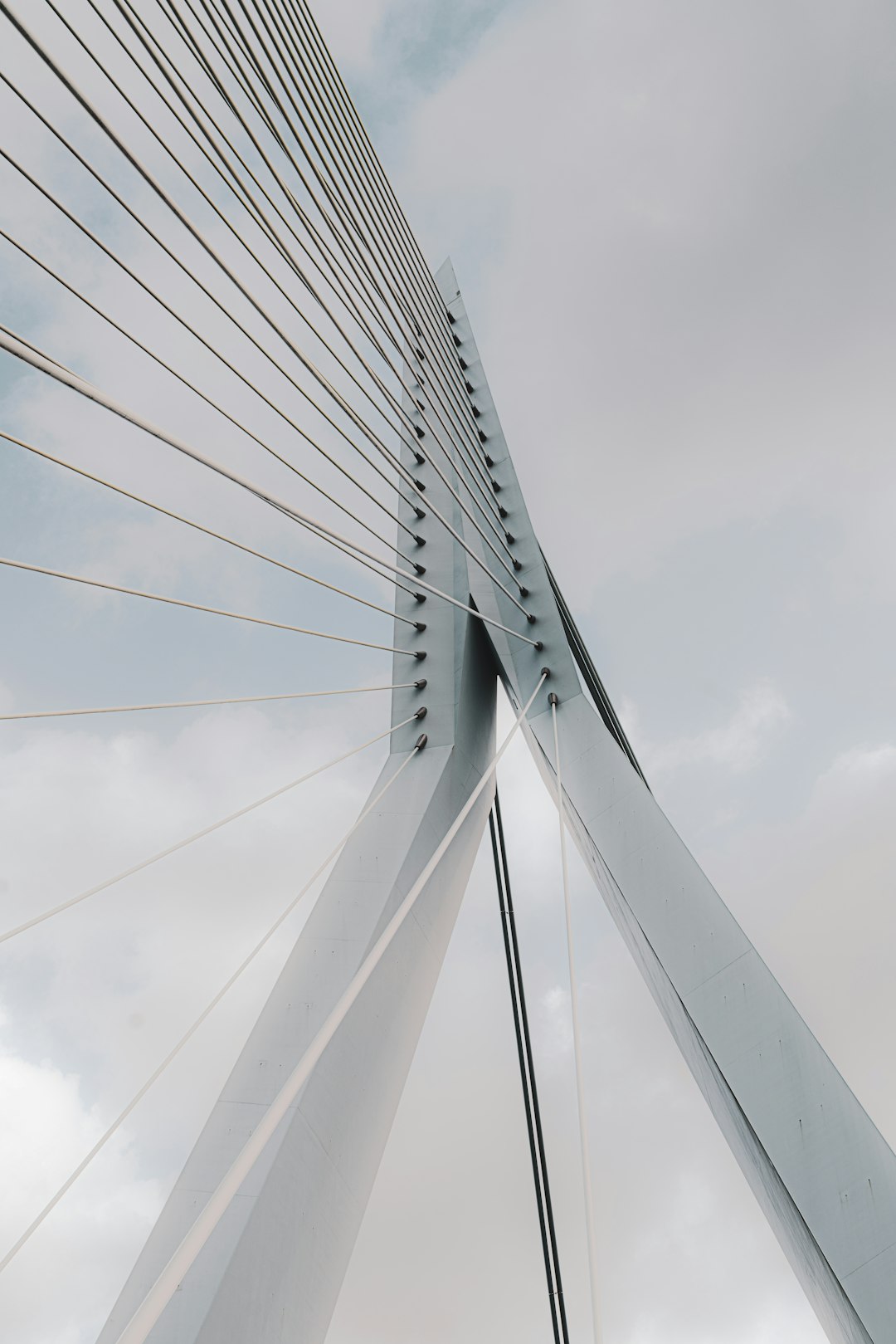 Suspension bridge photo spot Rotterdam Willemsbrug