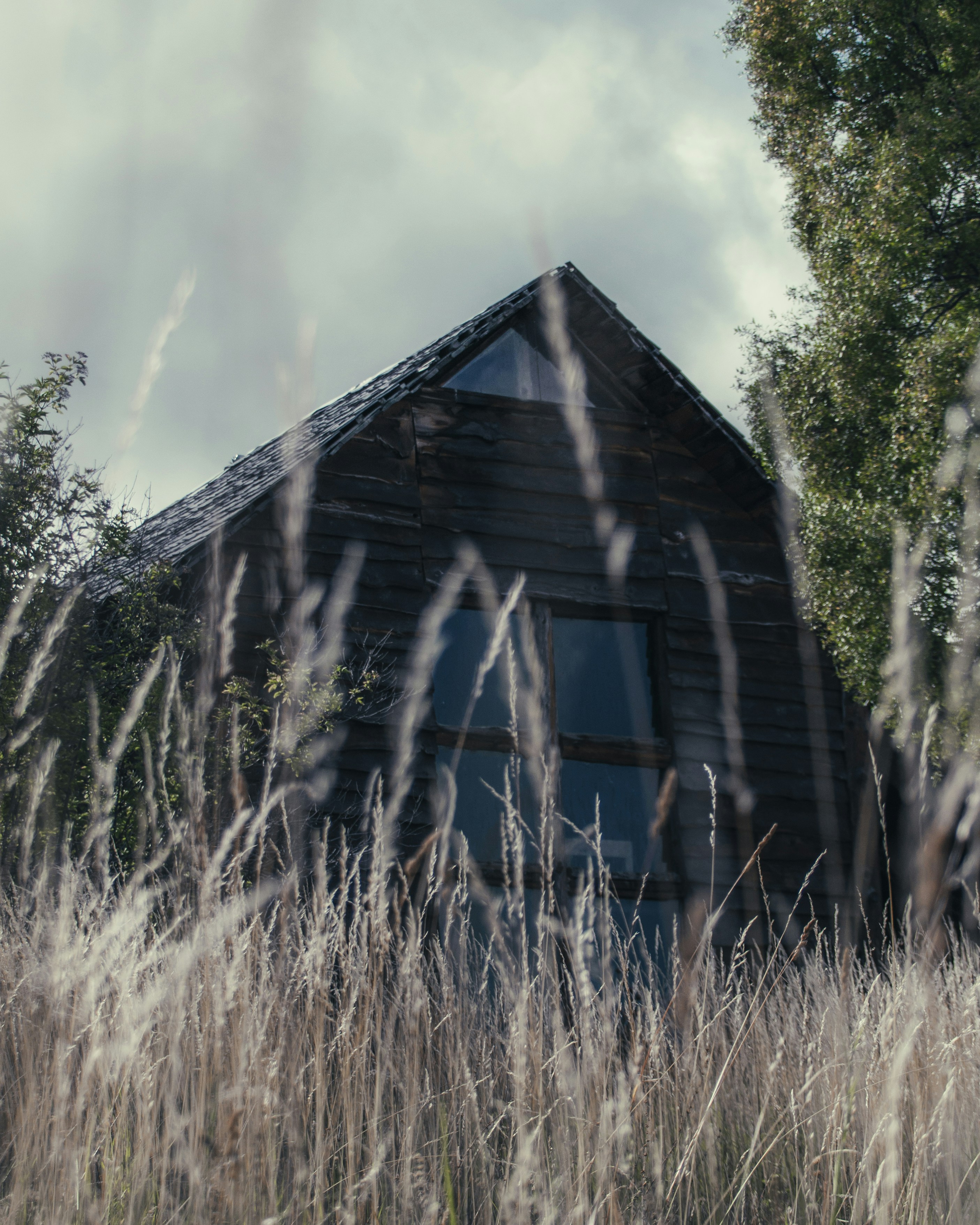 Photo by santisteink